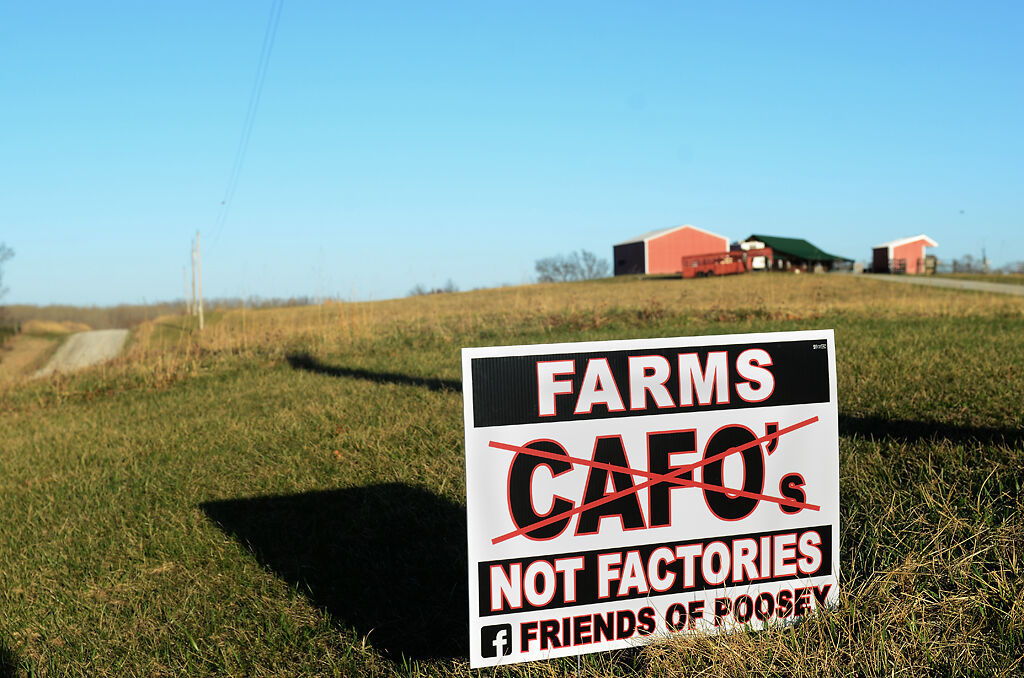 Friends of Poosey work to protect the Poosey Conservation Area